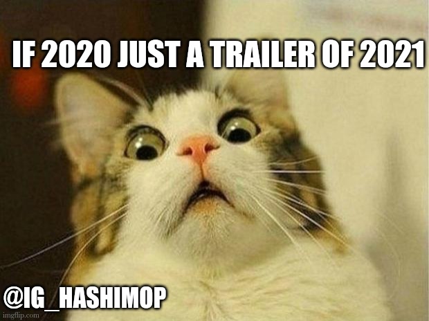 Scared Cat Meme | IF 2020 JUST A TRAILER OF 2021; @IG_HASHIMOP | image tagged in memes,scared cat | made w/ Imgflip meme maker