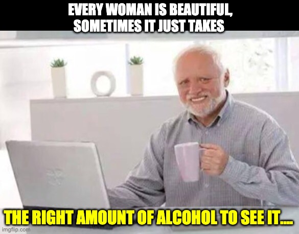 Harold | EVERY WOMAN IS BEAUTIFUL, SOMETIMES IT JUST TAKES; THE RIGHT AMOUNT OF ALCOHOL TO SEE IT.... | image tagged in harold | made w/ Imgflip meme maker
