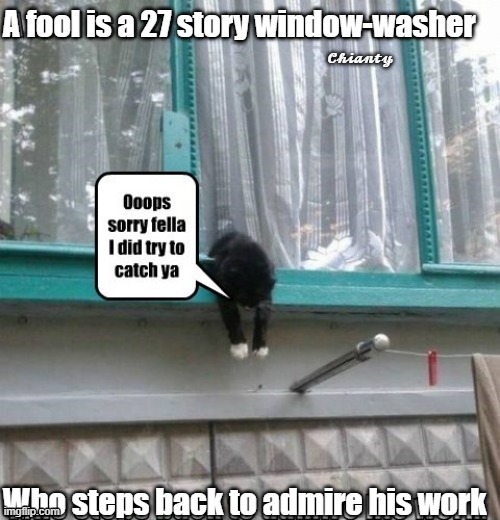 A Fool | image tagged in window | made w/ Imgflip meme maker