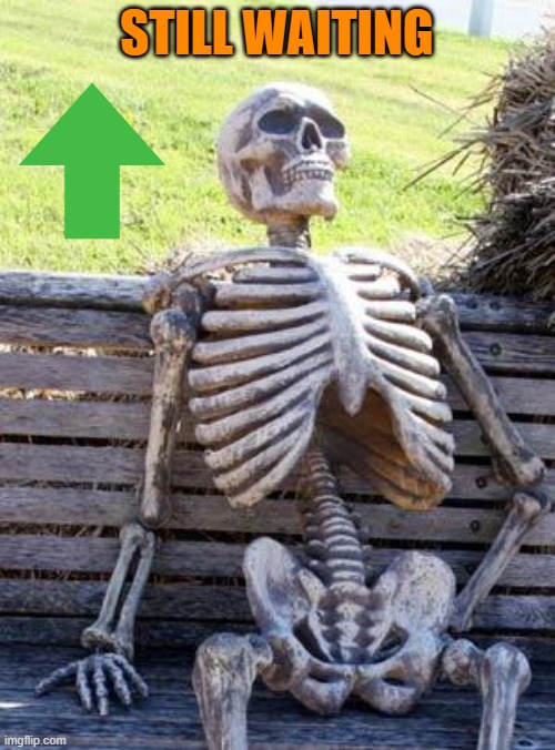 Waiting Skeleton Meme | STILL WAITING | image tagged in memes,waiting skeleton | made w/ Imgflip meme maker