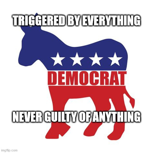 democrats | TRIGGERED BY EVERYTHING; NEVER GUILTY OF ANYTHING | image tagged in political meme | made w/ Imgflip meme maker