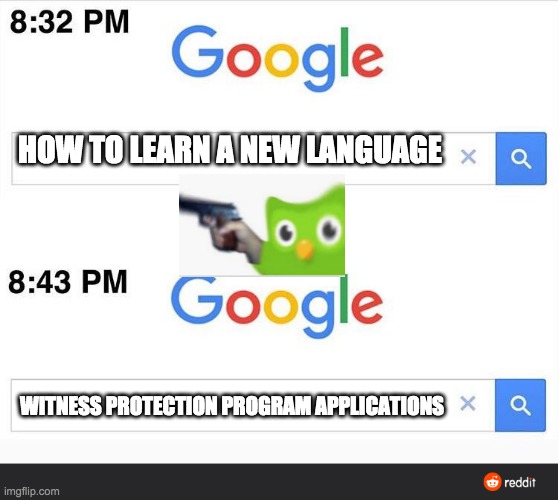 On the run | HOW TO LEARN A NEW LANGUAGE; WITNESS PROTECTION PROGRAM APPLICATIONS | image tagged in 832 google search | made w/ Imgflip meme maker