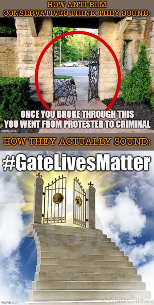 No one was hurt in the McCloskey protest? WRONG. Let’s hope and pray this gate is in a better place. #GateLivesMatter #GateGate | HOW ANTI-BLM CONSERVATIVES THINK THEY SOUND:; HOW THEY ACTUALLY SOUND: | image tagged in protestors,black lives matter,blacklivesmatter,blm,conservative logic,politics lol | made w/ Imgflip meme maker
