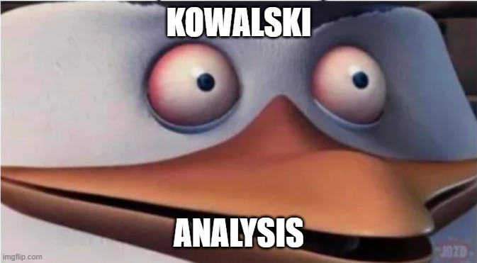 analysis | KOWALSKI; ANALYSIS | image tagged in penguins of madagascar,kowalski analysis,skipper | made w/ Imgflip meme maker