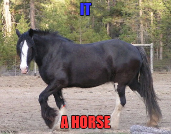 it a horse | IT; A HORSE | image tagged in horse | made w/ Imgflip meme maker