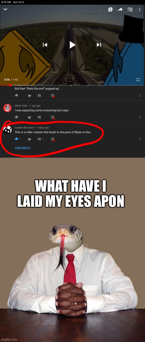 Cursed_Rollercoaster | WHAT HAVE I LAID MY EYES APON | made w/ Imgflip meme maker