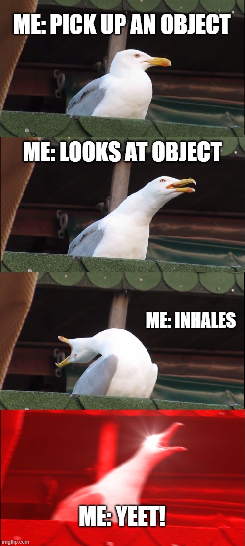 Yeet | ME: PICK UP AN OBJECT; ME: LOOKS AT OBJECT; ME: INHALES; ME: YEET! | image tagged in memes,inhaling seagull | made w/ Imgflip meme maker