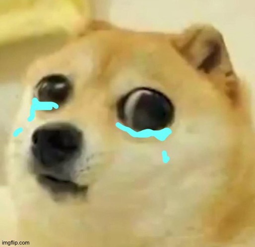 big eyes crying doge | image tagged in big eyes crying doge | made w/ Imgflip meme maker