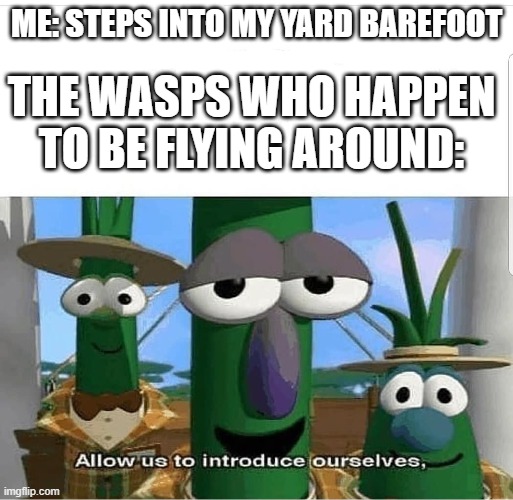 based on a true story | ME: STEPS INTO MY YARD BAREFOOT; THE WASPS WHO HAPPEN TO BE FLYING AROUND: | image tagged in allow us to introduce ourselves,wasp | made w/ Imgflip meme maker
