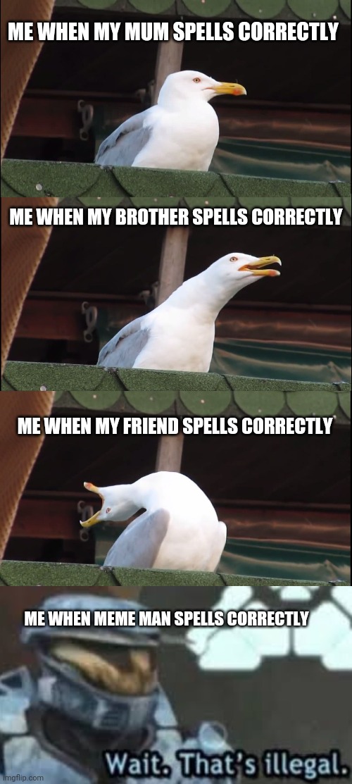 Meme man never spells correctly. | ME WHEN MY MUM SPELLS CORRECTLY; ME WHEN MY BROTHER SPELLS CORRECTLY; ME WHEN MY FRIEND SPELLS CORRECTLY; ME WHEN MEME MAN SPELLS CORRECTLY | image tagged in memes,inhaling seagull | made w/ Imgflip meme maker