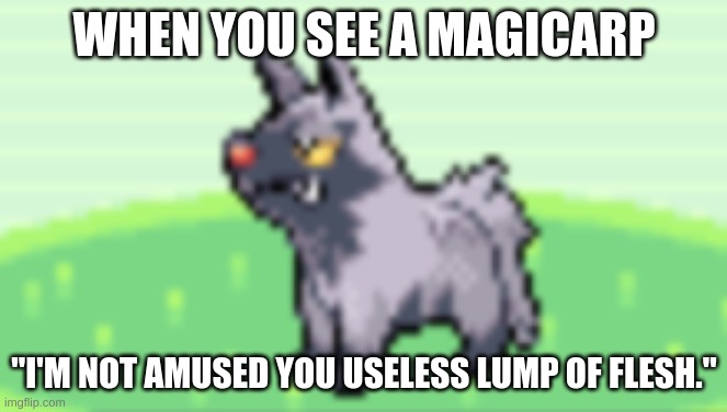 Magicarp is nit amusing | WHEN YOU SEE A MAGICARP; "I'M NOT AMUSED YOU USELESS LUMP OF FLESH." | image tagged in so not amused | made w/ Imgflip meme maker