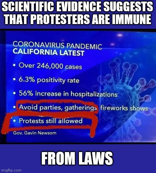 More lunacy from the Left. | SCIENTIFIC EVIDENCE SUGGESTS THAT PROTESTERS ARE IMMUNE; FROM LAWS | image tagged in coronavirus,politics,political meme | made w/ Imgflip meme maker