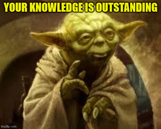 yoda | YOUR KNOWLEDGE IS OUTSTANDING | image tagged in yoda | made w/ Imgflip meme maker