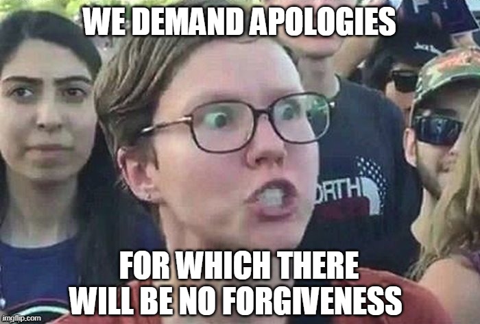 meme angry woman | WE DEMAND APOLOGIES FOR WHICH THERE WILL BE NO FORGIVENESS | image tagged in meme angry woman | made w/ Imgflip meme maker