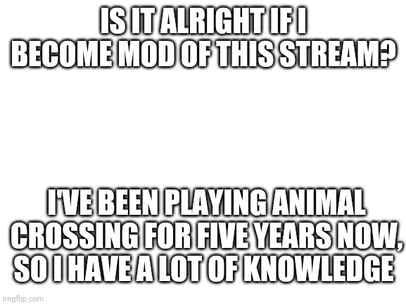 It's alright if you say no. | IS IT ALRIGHT IF I BECOME MOD OF THIS STREAM? I'VE BEEN PLAYING ANIMAL CROSSING FOR FIVE YEARS NOW, SO I HAVE A LOT OF KNOWLEDGE | image tagged in blank white template | made w/ Imgflip meme maker