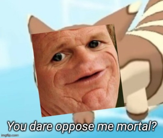 Sosig/furret you dare oppose me mortal? | image tagged in sosig you dare oppose me mortal | made w/ Imgflip meme maker