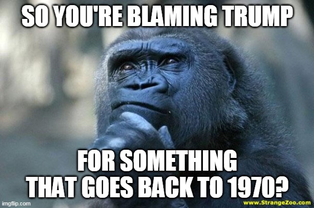 Deep Thoughts | SO YOU'RE BLAMING TRUMP FOR SOMETHING THAT GOES BACK TO 1970? | image tagged in deep thoughts | made w/ Imgflip meme maker