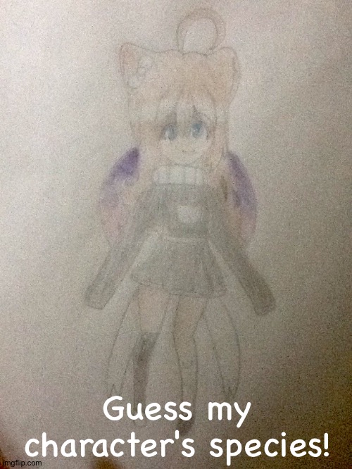 Guess my character's species! (The answer will be revealed when someone guesses it right) | Guess my character's species! | image tagged in guess,species,drawings | made w/ Imgflip meme maker