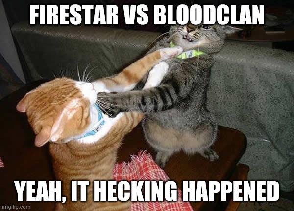 Two cats fighting for real | FIRESTAR VS BLOODCLAN; YEAH, IT HECKING HAPPENED | image tagged in two cats fighting for real | made w/ Imgflip meme maker