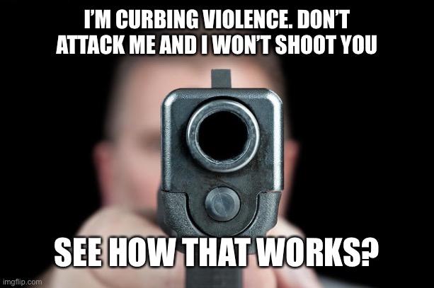 It’s actually pretty easy. The simpleton rioters apparently haven’t figured it out yet. | I’M CURBING VIOLENCE. DON’T ATTACK ME AND I WON’T SHOOT YOU; SEE HOW THAT WORKS? | image tagged in mind your business,rioters,not really peaceful at all | made w/ Imgflip meme maker