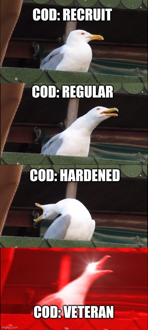 Call of duty is hard | COD: RECRUIT; COD: REGULAR; COD: HARDENED; COD: VETERAN | image tagged in memes,inhaling seagull | made w/ Imgflip meme maker