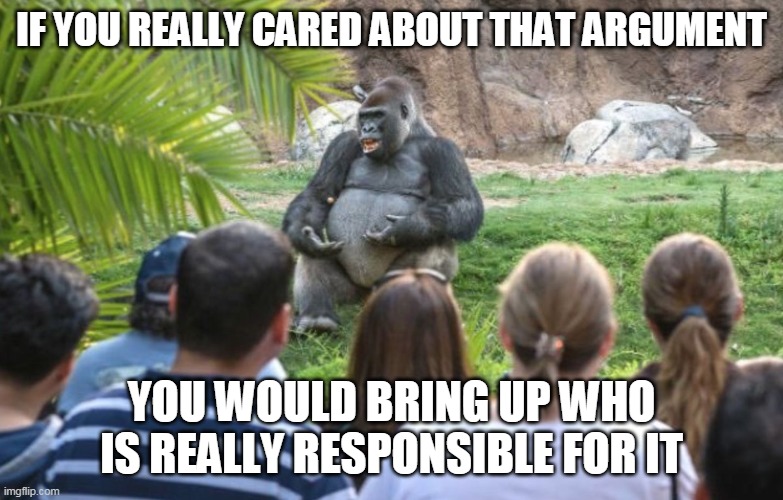 ted talk gorilla | IF YOU REALLY CARED ABOUT THAT ARGUMENT YOU WOULD BRING UP WHO IS REALLY RESPONSIBLE FOR IT | image tagged in ted talk gorilla | made w/ Imgflip meme maker