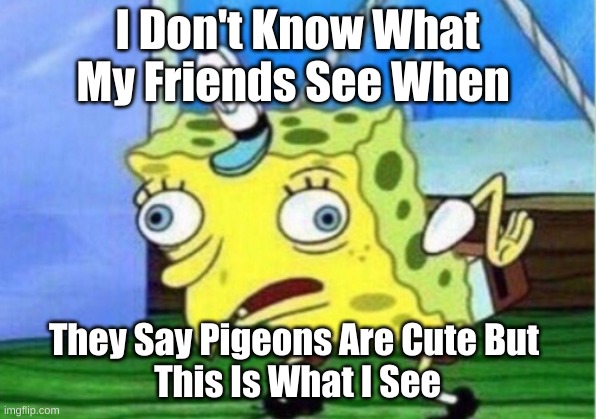 Mocking Spongebob | I Don't Know What My Friends See When; They Say Pigeons Are Cute But 
This Is What I See | image tagged in memes,mocking spongebob | made w/ Imgflip meme maker
