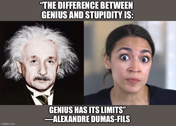 Unprecedented Damage | “THE DIFFERENCE BETWEEN 
GENIUS AND STUPIDITY IS:; GENIUS HAS ITS LIMITS”
—ALEXANDRE DUMAS-FILS | image tagged in election,einstein,politicians,aoc,socialism,communism | made w/ Imgflip meme maker