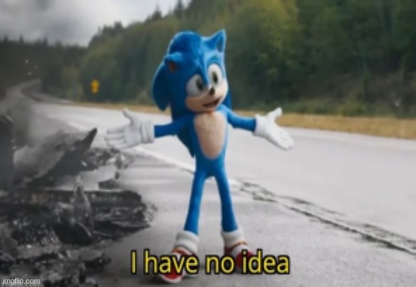 Sonic has no idea | image tagged in sonic has no idea | made w/ Imgflip meme maker