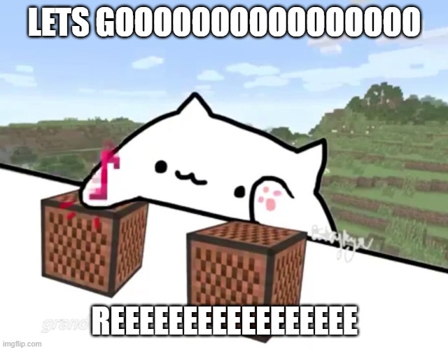 mincraft cat | LETS GOOOOOOOOOOOOOOOO REEEEEEEEEEEEEEEEE | image tagged in mincraft cat | made w/ Imgflip meme maker