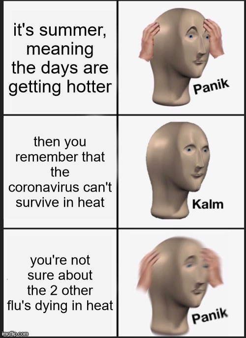 this meme might be terrible but im gonna post in anyways | it's summer, meaning the days are getting hotter; then you remember that the coronavirus can't survive in heat; you're not sure about the 2 other flu's dying in heat | image tagged in memes,panik kalm panik | made w/ Imgflip meme maker