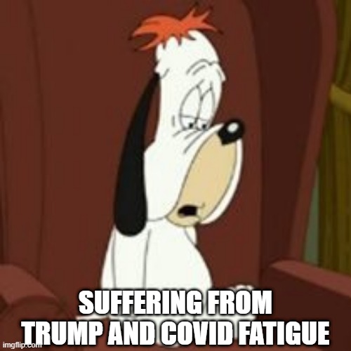 SUFFERING FROM TRUMP AND COVID FATIGUE | image tagged in political humor | made w/ Imgflip meme maker