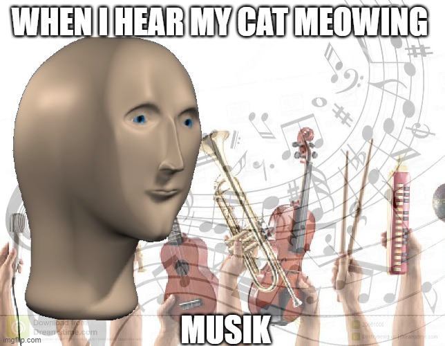 Not sure if this meme is funny or not... | WHEN I HEAR MY CAT MEOWING; MUSIK | image tagged in meme man music,music,cats,meow,meme man,memes | made w/ Imgflip meme maker