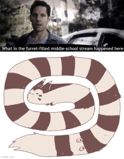 Furret what have you done... | image tagged in what in the furret-filled middle-school stream happened here | made w/ Imgflip meme maker
