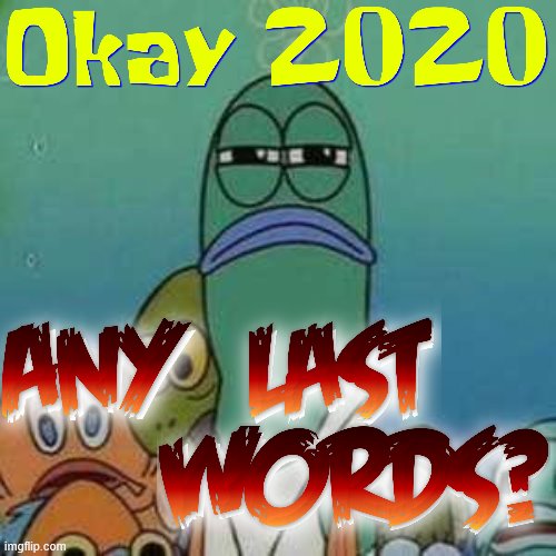 And I thought 2009 was a horrible year... | image tagged in angry lifeguard,2020,spongebob,relatable,history,2020 sucks | made w/ Imgflip meme maker