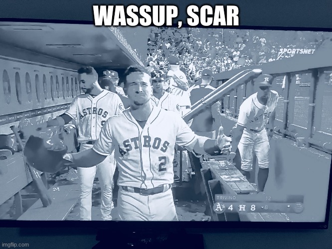 (in response to the stream description) | WASSUP, SCAR | image tagged in wassup | made w/ Imgflip meme maker