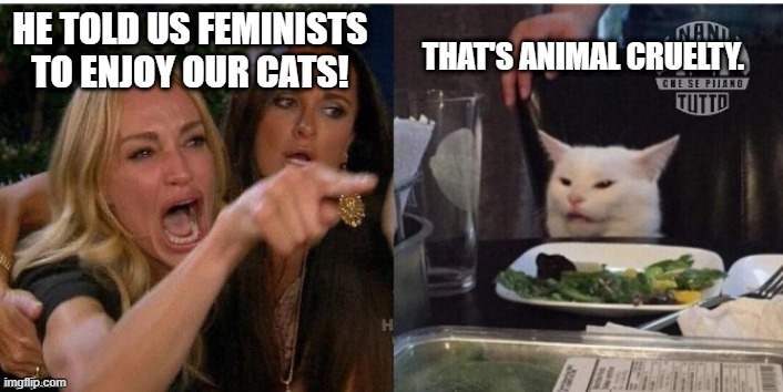 white cat table | HE TOLD US FEMINISTS TO ENJOY OUR CATS! THAT'S ANIMAL CRUELTY. | image tagged in white cat table | made w/ Imgflip meme maker