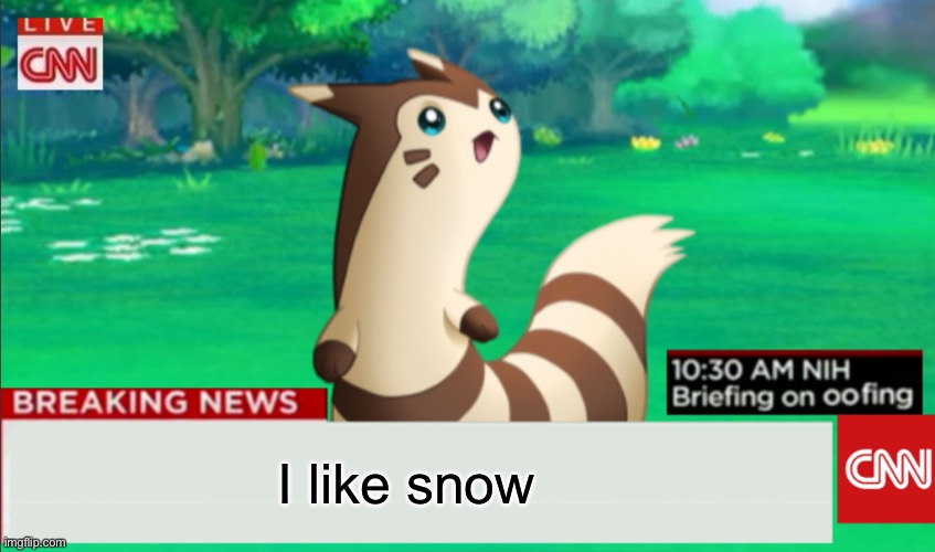 Breaking News Furret | I like snow | image tagged in breaking news furret | made w/ Imgflip meme maker