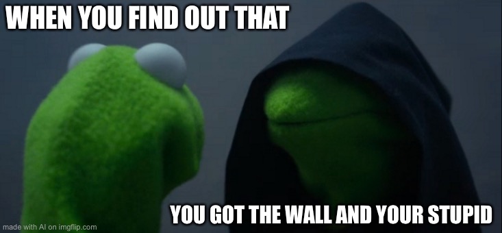 Wot? | WHEN YOU FIND OUT THAT; YOU GOT THE WALL AND YOUR STUPID | image tagged in memes,evil kermit | made w/ Imgflip meme maker