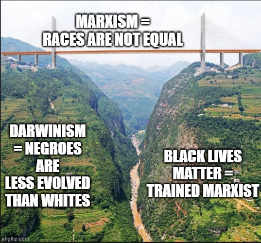 China Bridge | MARXISM = RACES ARE NOT EQUAL; DARWINISM = NEGROES ARE LESS EVOLVED THAN WHITES; BLACK LIVES MATTER = TRAINED MARXIST | image tagged in china bridge | made w/ Imgflip meme maker