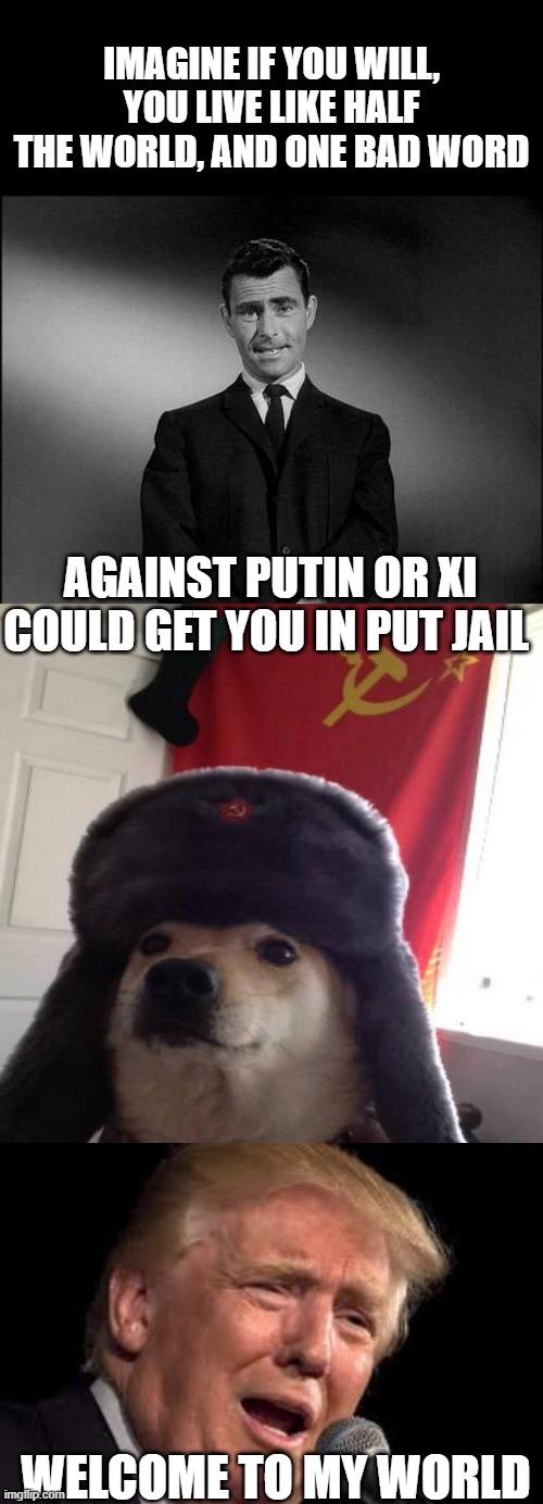 Rough Draft of the bottom line truth. | IMAGINE IF YOU WILL, YOU LIVE LIKE HALF THE WORLD, AND ONE BAD WORD; AGAINST PUTIN OR XI COULD GET YOU IN PUT JAIL; WELCOME TO MY WORLD | image tagged in russian doge,rod serling twilight zone,memes,politics,treason,maga | made w/ Imgflip meme maker