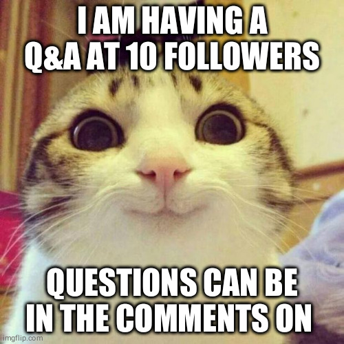 Smiling Cat Meme | I AM HAVING A Q&A AT 10 FOLLOWERS; QUESTIONS CAN BE IN THE COMMENTS ON THIS | image tagged in memes,smiling cat | made w/ Imgflip meme maker