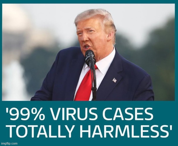 This is why the guy in the basement leads Trump by 12 points nationally! | image tagged in donald trump is an idiot,coronavirus,trump lies,joe biden,guy in basement | made w/ Imgflip meme maker