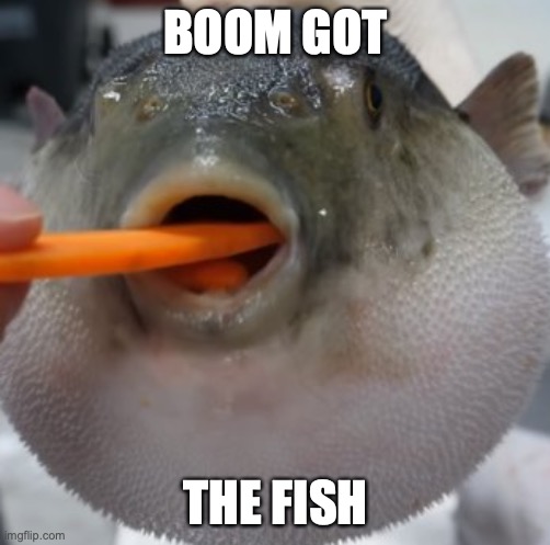 pufferfish eating carrot | BOOM GOT; THE FISH | image tagged in pufferfish eating carrot | made w/ Imgflip meme maker