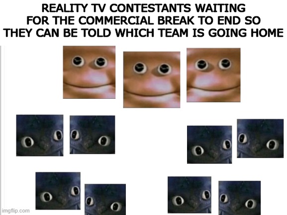 REALITY TV CONTESTANTS WAITING FOR THE COMMERCIAL BREAK TO END SO THEY CAN BE TOLD WHICH TEAM IS GOING HOME | image tagged in blank stare dragon,blank white template,reality tv,chef gordon ramsay,how to train your dragon | made w/ Imgflip meme maker