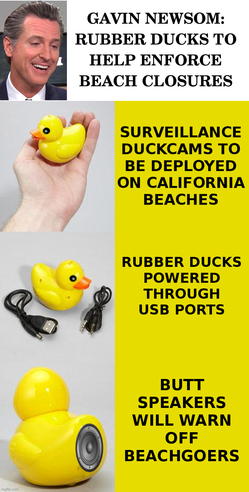 Gavin Newsom: Rubber Ducks To Help Enforce Beach Closures | image tagged in gavin newsom,california,beach,coronavirus,shutdown | made w/ Imgflip meme maker