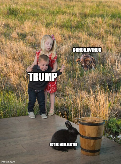 fear this not that |  CORONAVIRUS; TRUMP; NOT BEING RE ELECTED | image tagged in fear this not that | made w/ Imgflip meme maker