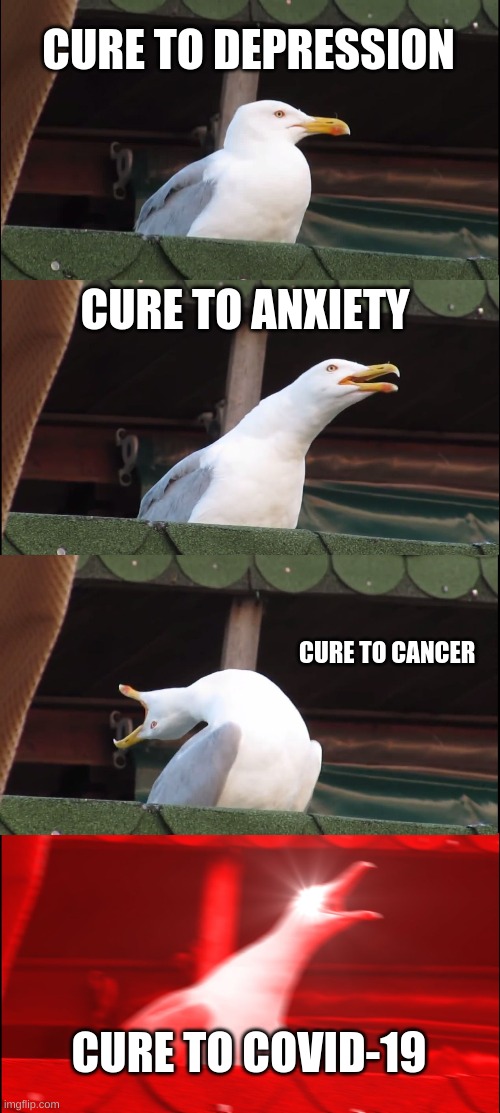 Agree?? | CURE TO DEPRESSION; CURE TO ANXIETY; CURE TO CANCER; CURE TO COVID-19 | image tagged in memes,inhaling seagull | made w/ Imgflip meme maker