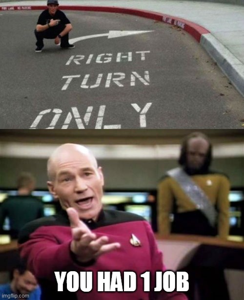 crash | YOU HAD 1 JOB | image tagged in memes,picard wtf | made w/ Imgflip meme maker