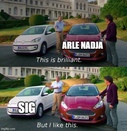 this is me playing puyo puyo champions | ARLE NADJA; SIG | image tagged in this is brilliant but i like this,puyo puyo | made w/ Imgflip meme maker